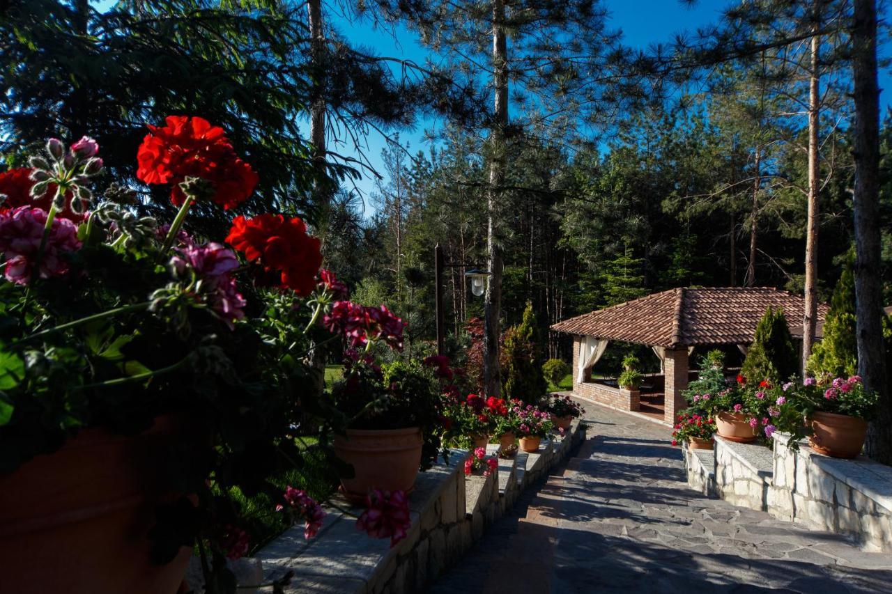 Hotel Helen Bacău Eksteriør bilde